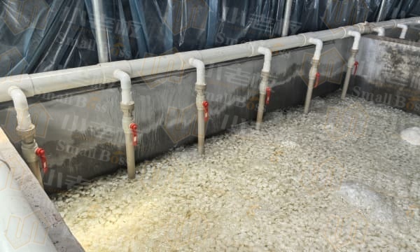 微信圖片_20250414174809