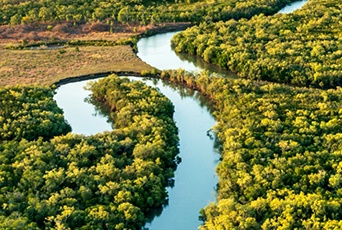 Environmentally friendly and pollution-free