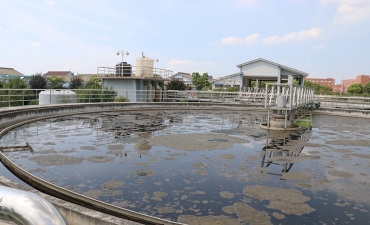 Tecnología MBBR formada y ampliamente utilizada